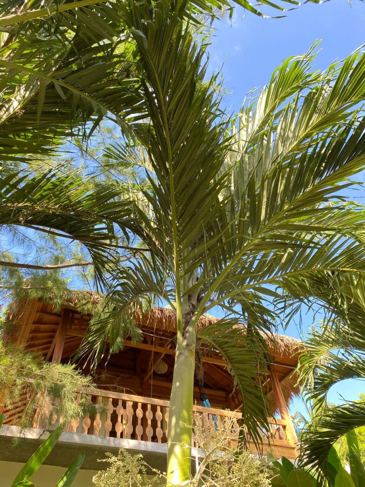Palm Green Hotel Kuta  외부 사진